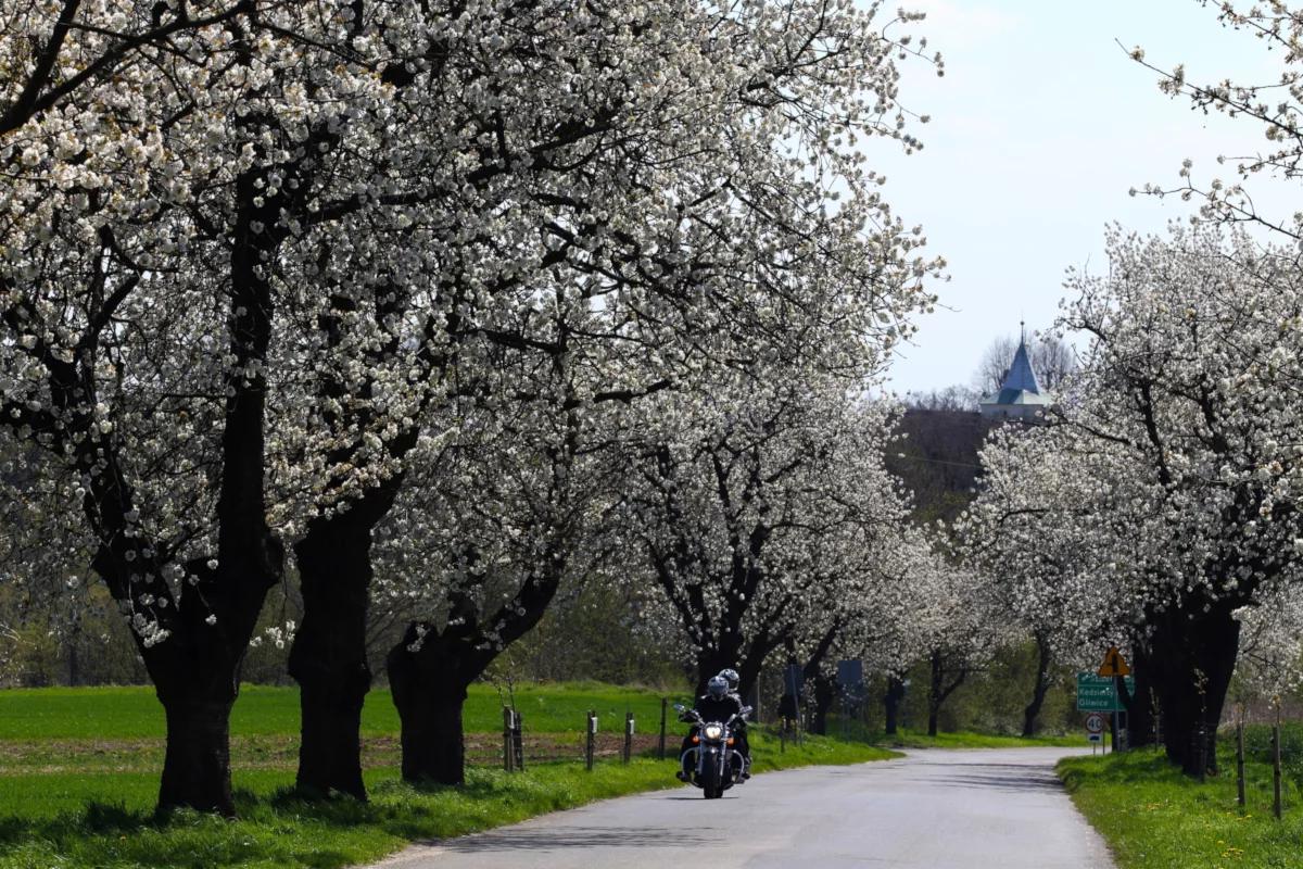 Majówka coraz bliżej. Czy jest szansa na odrobinę słońca?