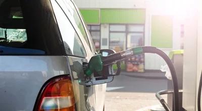 Wakacje na stacjach benzynowych. Ceny paliw mogą spadać 