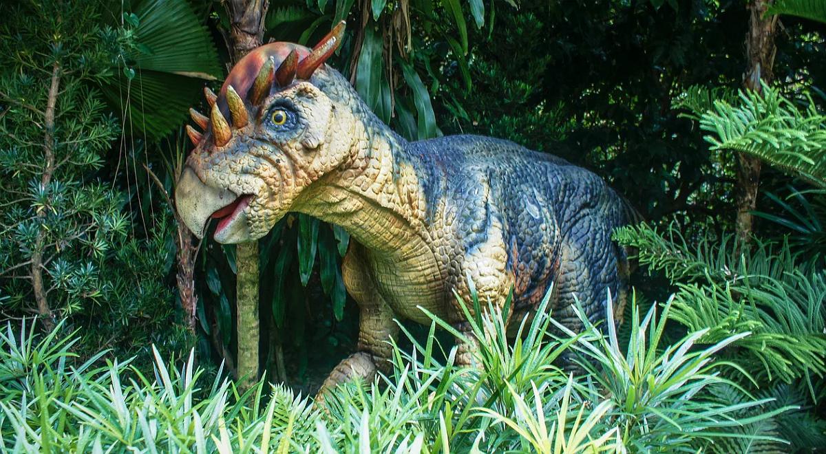 Niedzielna wyprawa na dinozaury