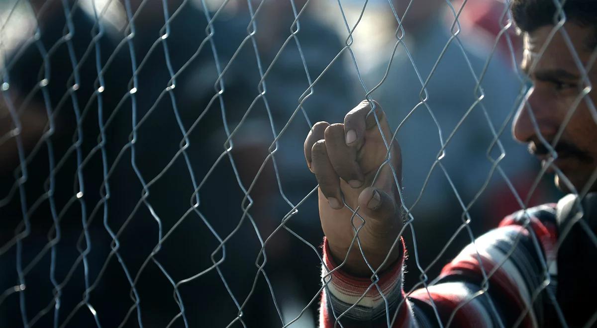 Szczelne granice lekiem na całe zło?