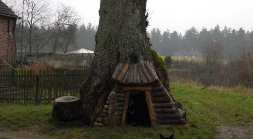 Z PGR-u do Krainy Fantazji