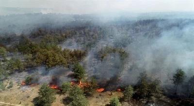 Bułgaria w ogniu. Płoną całe miejscowości