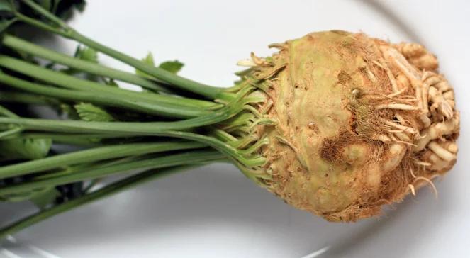 Pasztet z selera i inne tajemnice niezwykłego warzywa