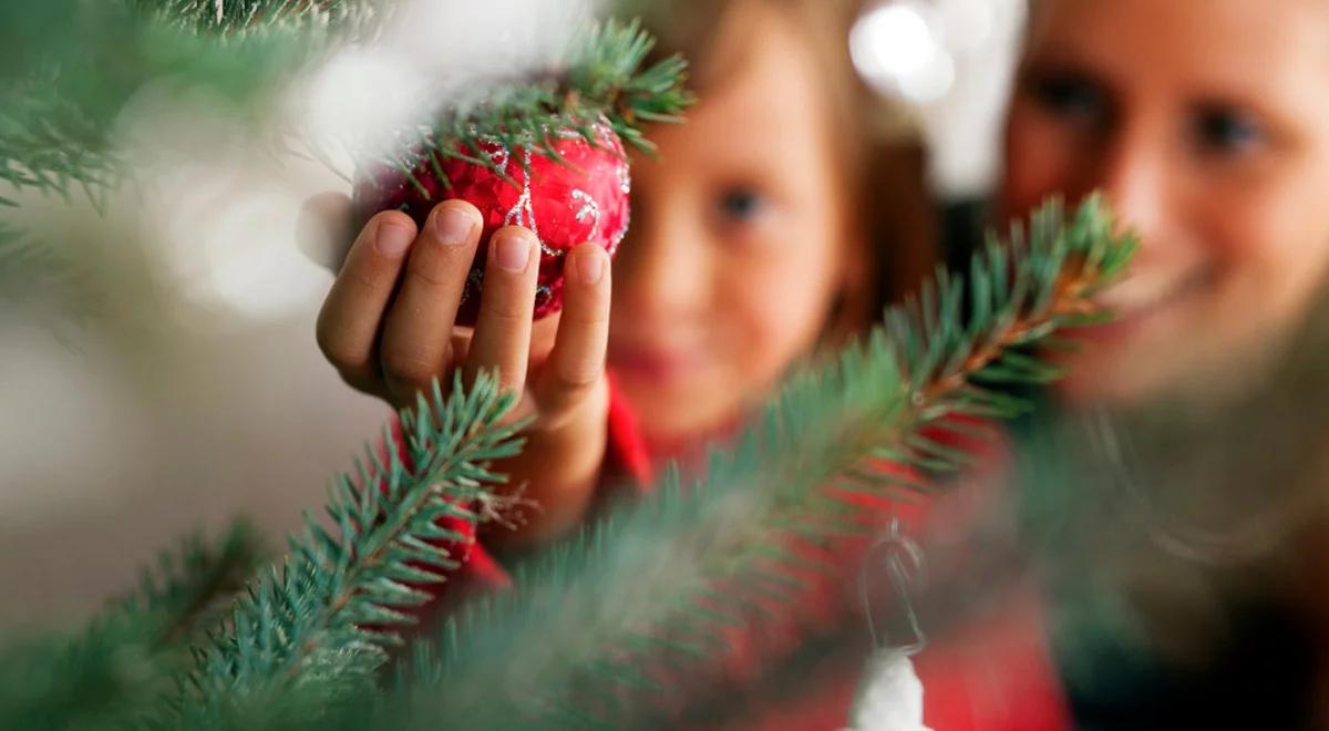 Rodziny zastępcze. Trudne historie niosące nadzieję