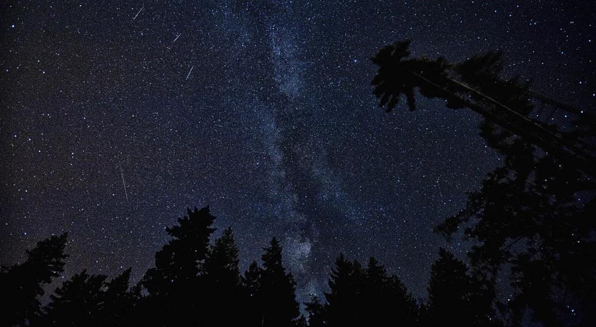 Gwiazdka z nieba - obietnica bez pokrycia?