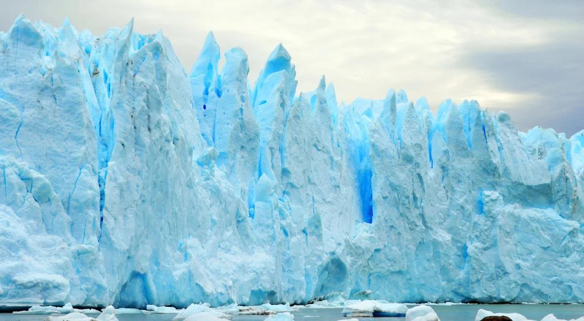 "Trzy sztuki w Antarktyce", czyli artystyczna wyprawa pod patronatem Trójki 