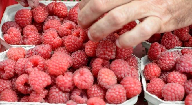 Dieta owocowa nie zawsze działa. Sprawdź, czy jest dla ciebie