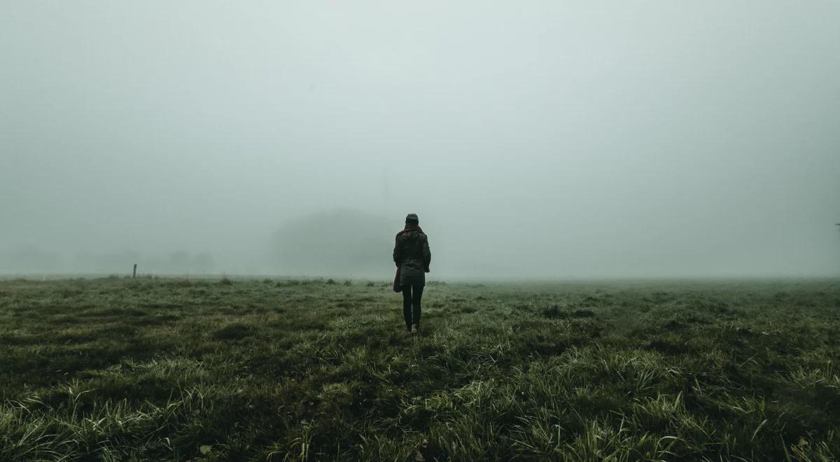 Nowa twarz, nowe życie