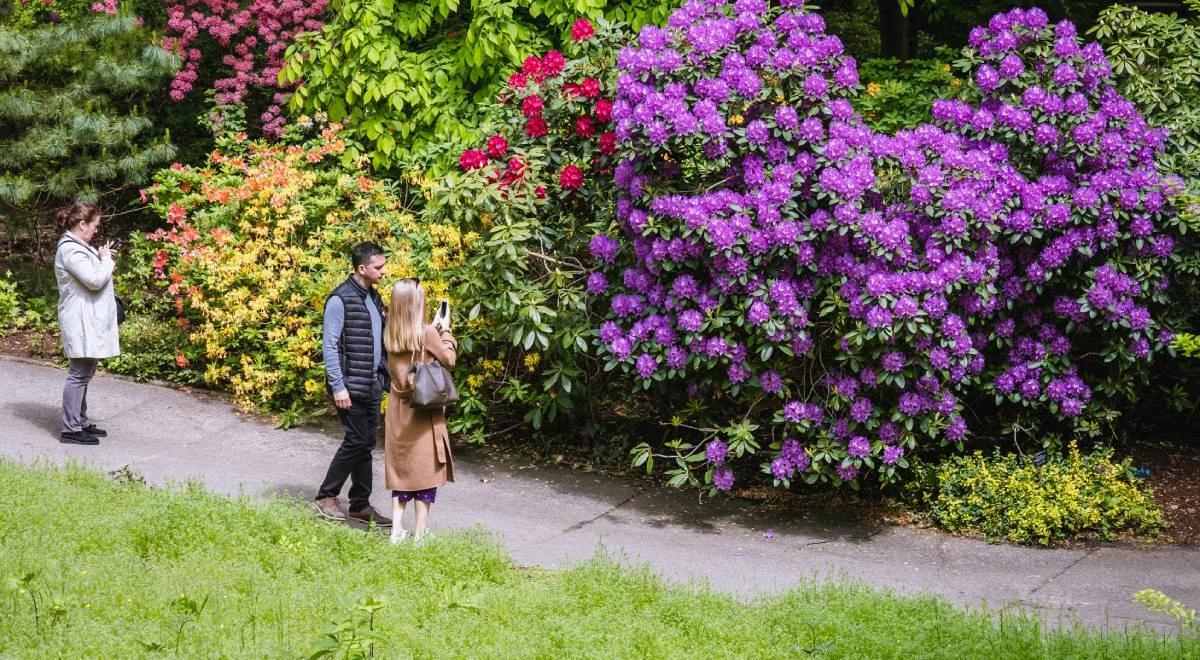 Joanna Jurga: zostańmy biofilami