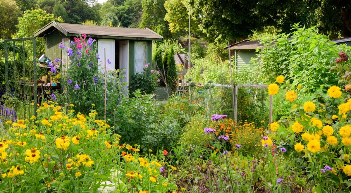 Ogródki działkowe: nowa moda czy skuteczny pomysł na prawdziwy relaks w mieście?