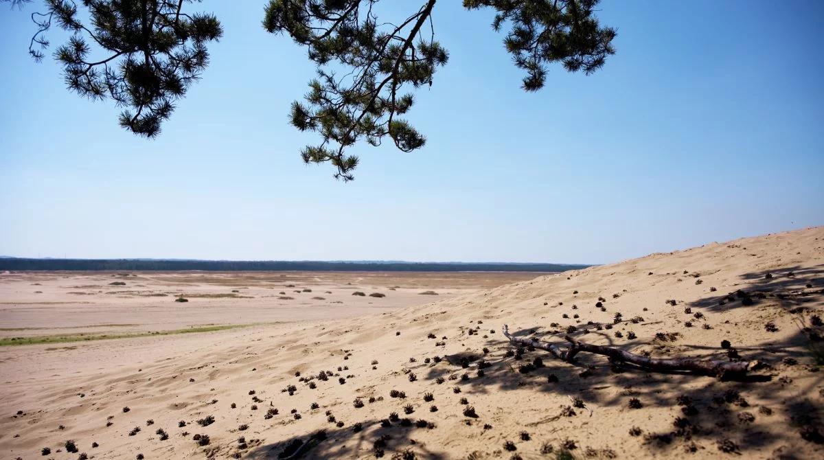 Pustynia miejscem rozmów. Przed nami festiwal Law of the Desert