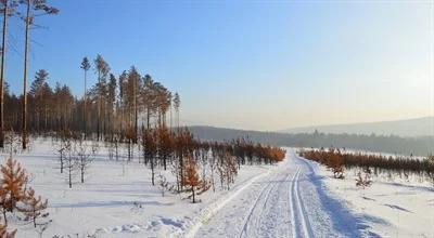 Michał Książek o sztuce zadziwień i jakuckiej skali