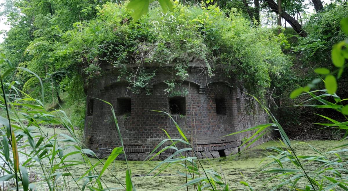 Niezwykłe znalezisko w Świnoujściu: ukryty sztandar przeleżał w ziemi 77 lat