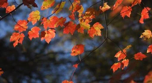 Zapraszamy do Trójki - ranek 6 października 2010