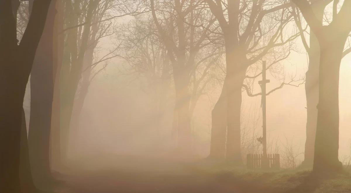 "Żona wyklęta". Prawdziwa historii miłości w dramatycznych czasach