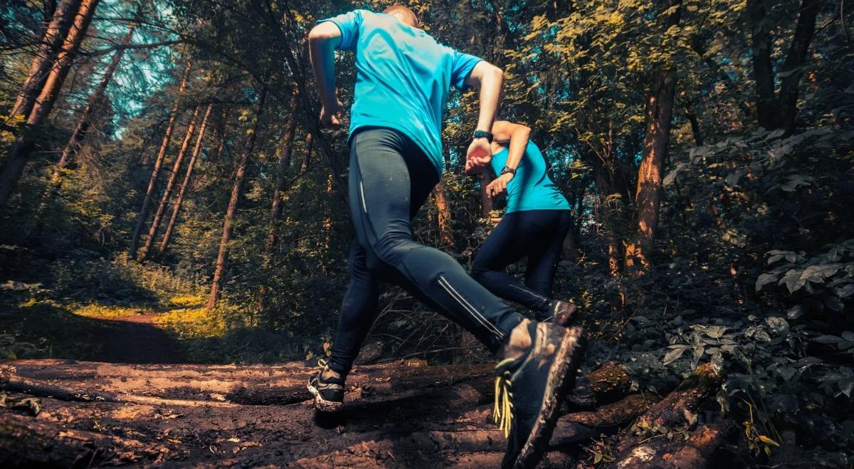 Lasy Państwowe zachęcają – "Trenuj w lesie" 
