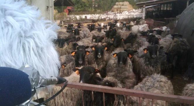 "Blade runner" w Trójce!