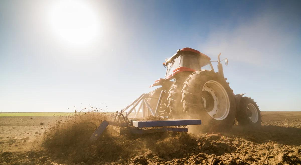 Skąd co roku biorą się kamienie na polach? 