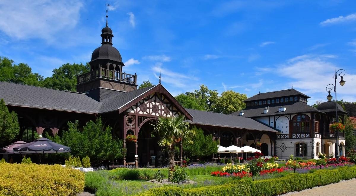 Palma w parku zdrojowym? Egzotyczne rośliny w Szczawnie-Zdroju