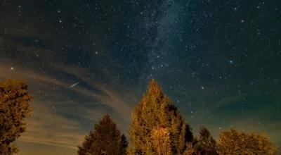 "Noc spadających gwiazd". Gdzie i kiedy oglądać rój Perseidów? Lista wydarzeń