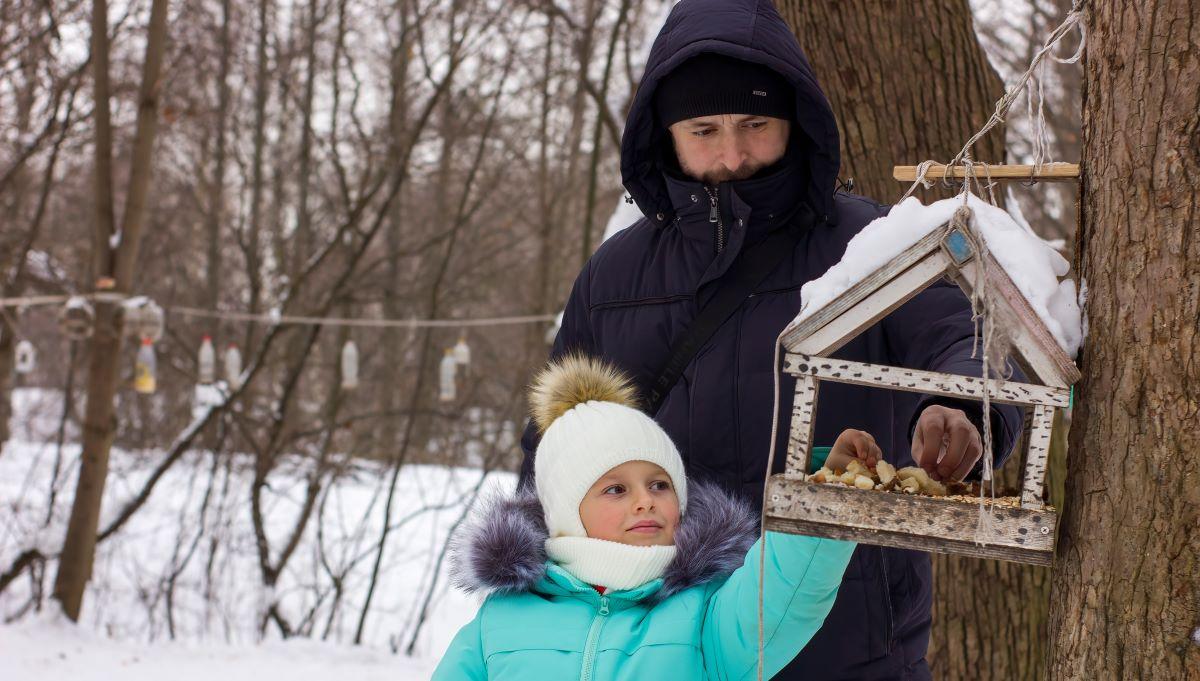 Dokarmianie dzikich zwierząt zimą: przede wszystkim pomagać, nie szkodzić