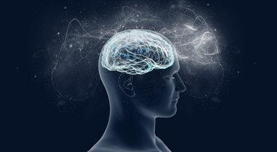 Mowa, kreatywność, intuicja i... nałogi. Jak działa ludzki mózg?
