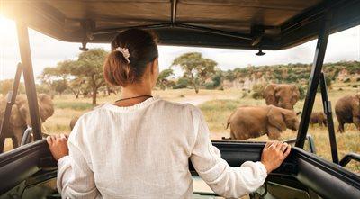 Afrykańskie safari. Jak zrozumieć język zwierząt?
