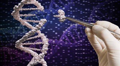 Technologia CRISPR - czyli jak ciąć geny?