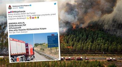 Polscy strażacy już we Francji. Pomogą w gaszeniu płonących lasów