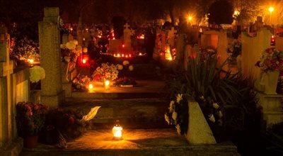 Akcja sprzątania wileńskich cmentarzy. Na Rossie usuną 11 tys. wypalonych zniczy