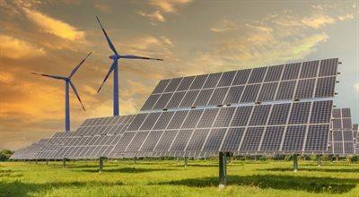 Rozwój odnawialnych źródeł energii to niższe rachunki za prąd? Zobacz co sądzą Polacy 
