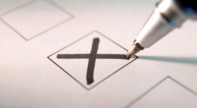 Referendum: strata czasu, czy niedocenione narzędzie demokracji?