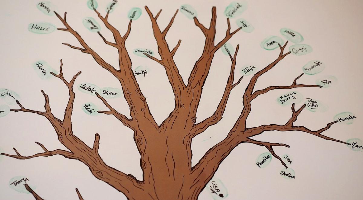 Jak stworzyć drzewo genealogiczne swojej rodziny?