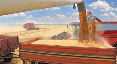 Co z zakazem importu zbóż z Ukrainy? Rzymkowski: to cyniczna gra KE w związku z wyborami w Polsce