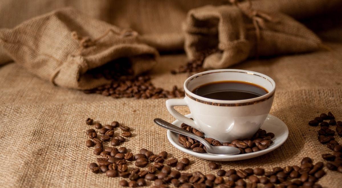 Alarm! Znikają uprawy kawy!