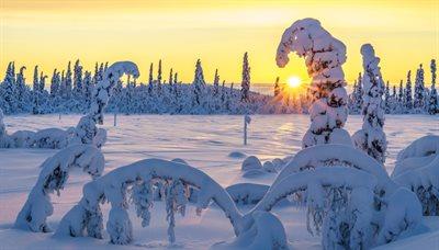 Mikołajkowe opowieści o Laponii