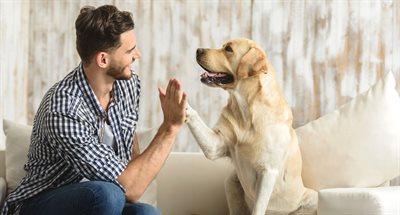 Jak rozmawiać z psem? "Wykażmy się cierpliwością i empatią"