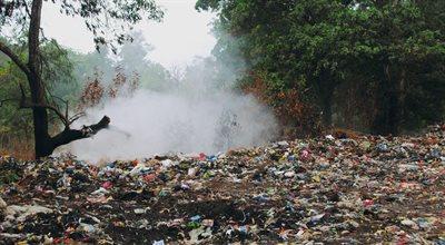 Drastyczne kary za śmiecenie. Rząd chce podwyższyć stawki za wykroczenia przeciwko środowisku