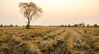 Katastrofy naturalne powodują gigantyczne straty dla rolnictwa. "Najmocniej dotknięta została Afryka"