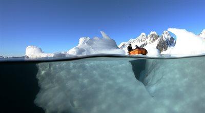 Góry lodowe i lampart morski - widok zachwycający