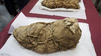 Odnaleziono ponadtysiącletnie mumie. Mogą to być ofiary mordu rytualnego