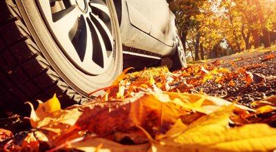 Jesień tuż… tuż… Co warto sprawdzić w swoim samochodzie?