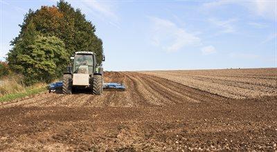 Wsparcie dla rolników i firm poszkodowanych przez wojnę na Ukrainie. Rząd przygotowuje pomoc finansową