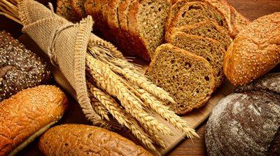 Dzień Chleba. Od ziarenka do bochenka 