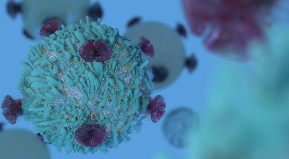 Czy komórki nowotworowe są nieśmiertelne?