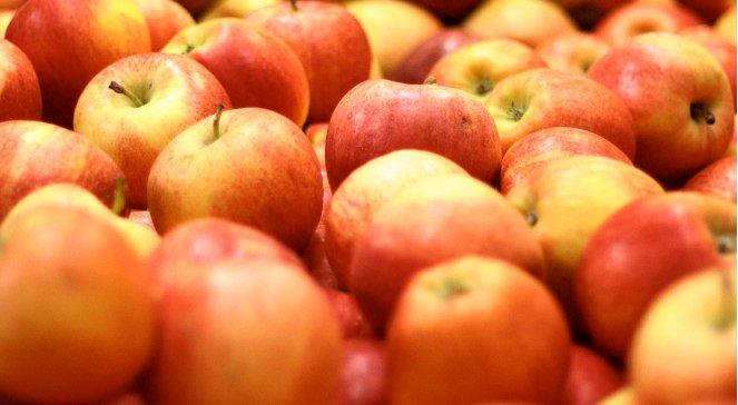 Embargo na polskie owoce. "Wspierajmy rolników, jedzmy polskie jabłka!"