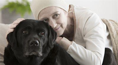 Zooterapia: kiedy zwierzęta też mogą leczyć