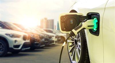 Raport "E-rewolucja w świecie motoryzacji”. Polacy są zainteresowani zakupem elektryków? 