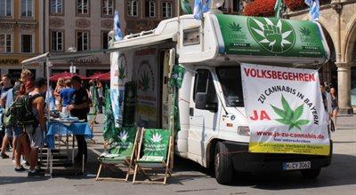 Legalizacja marihuany w Niemczech. Coraz więcej uzależnionych trafia do ośrodków