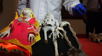 Peru. Co za niespodzianka! "Mumie kosmitów" to tylko figurki z kości